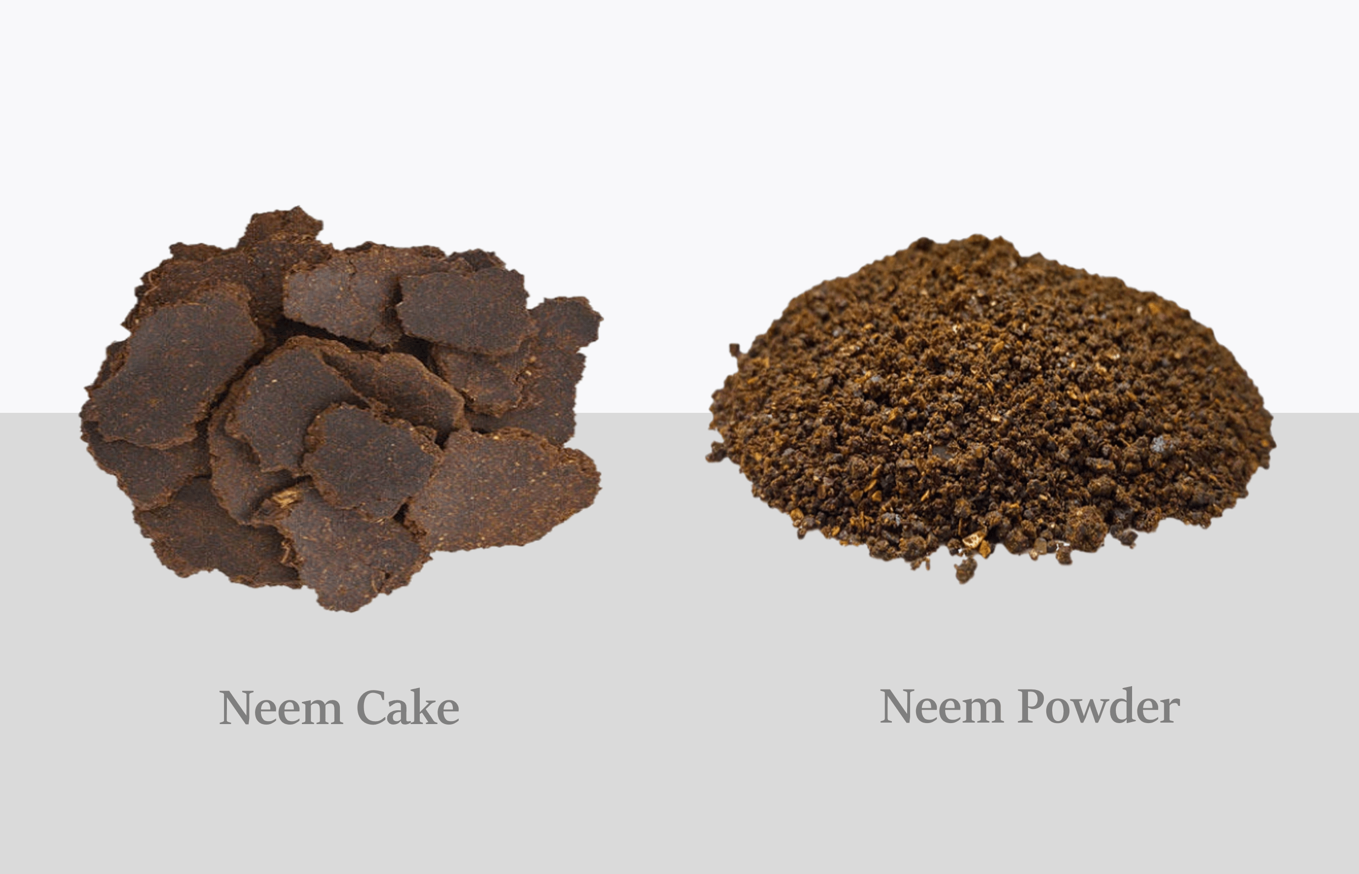 Neem fertilizer