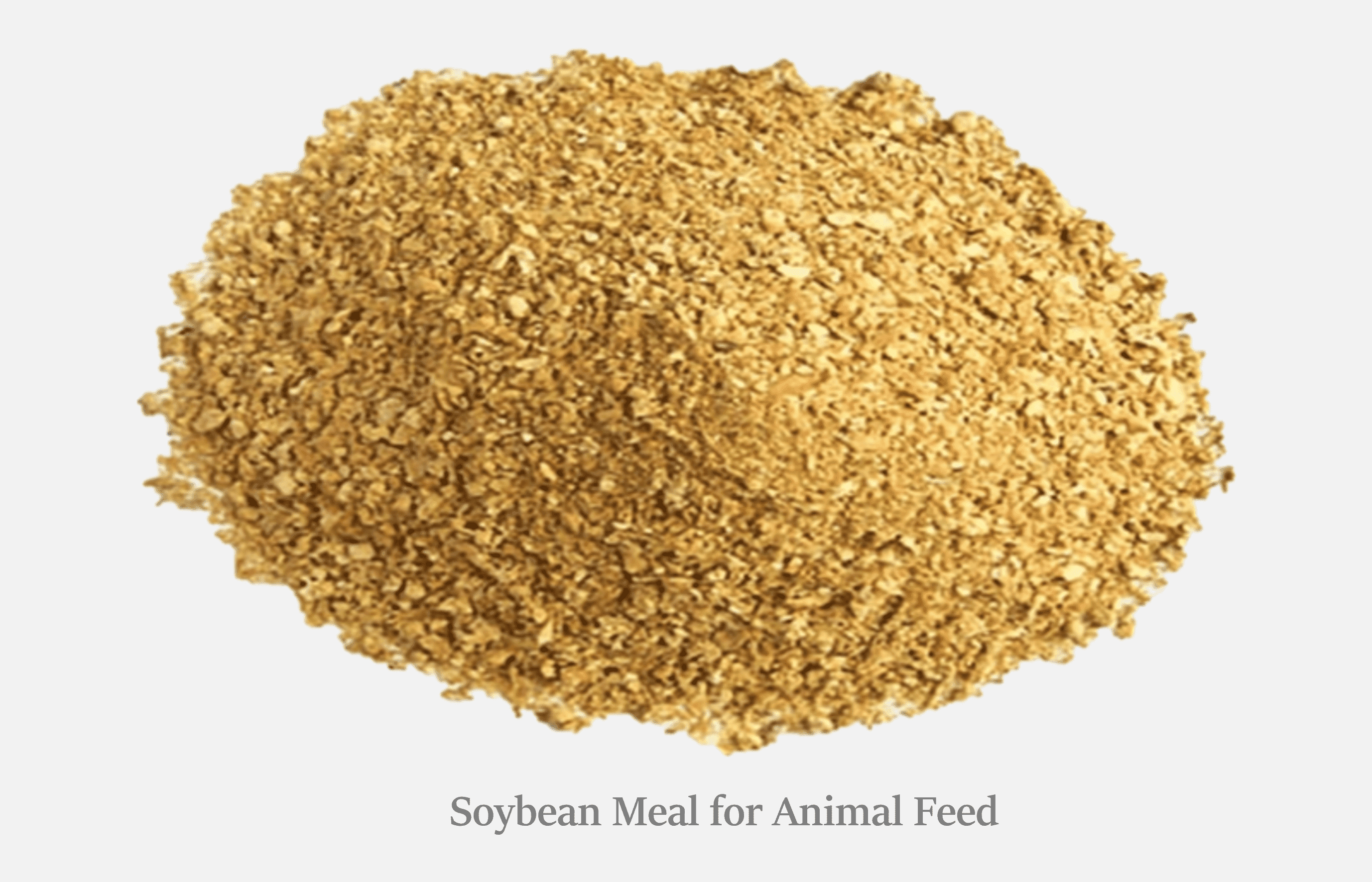 Soybean meal