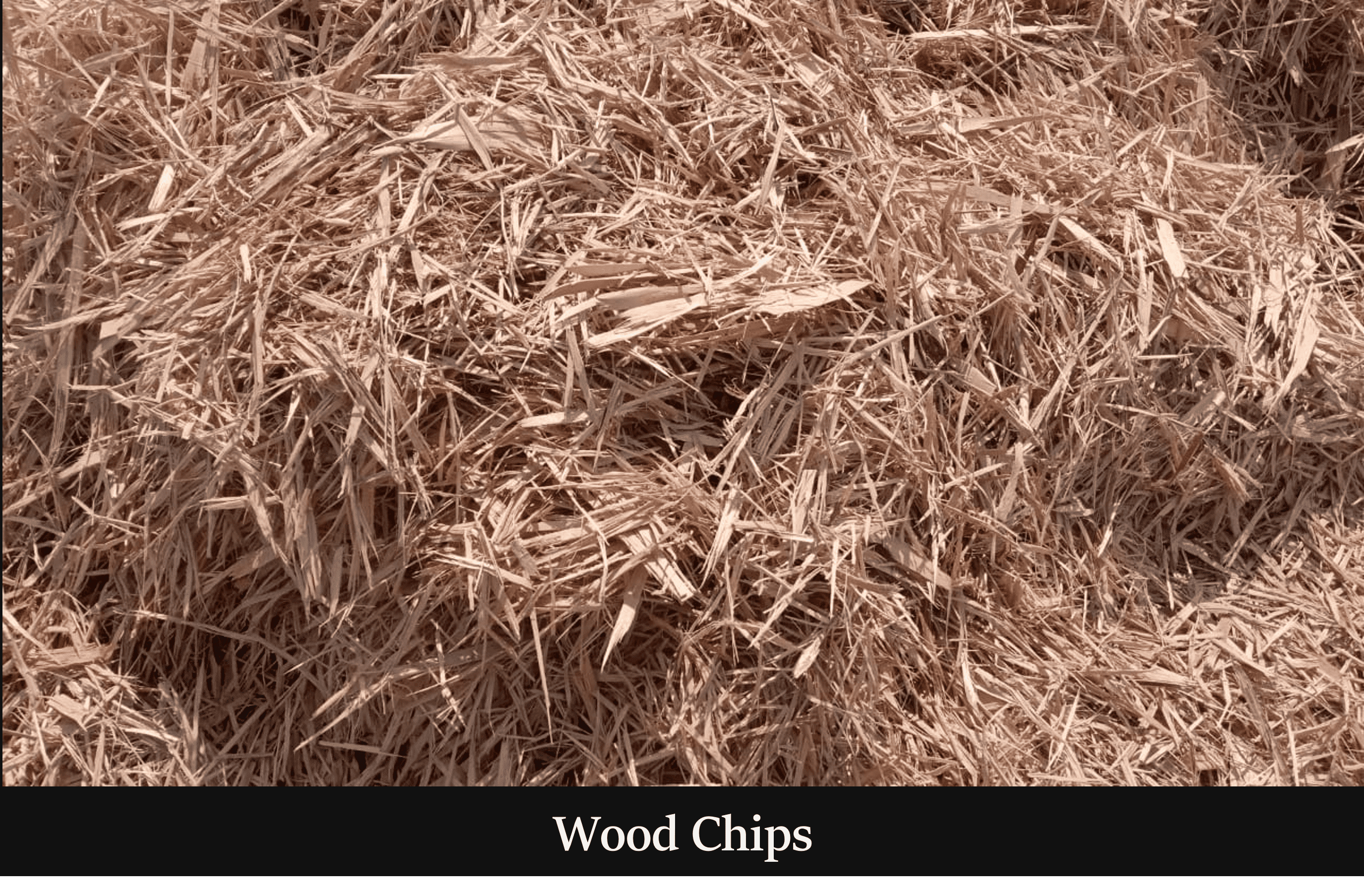 Wood Chips